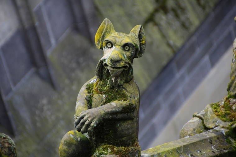 Dak van de kathedraal (2)