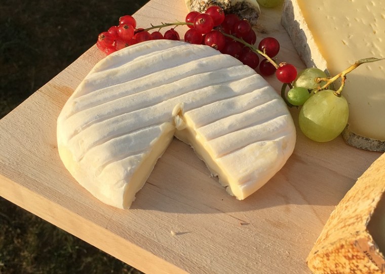 tomme-de-vache-ii