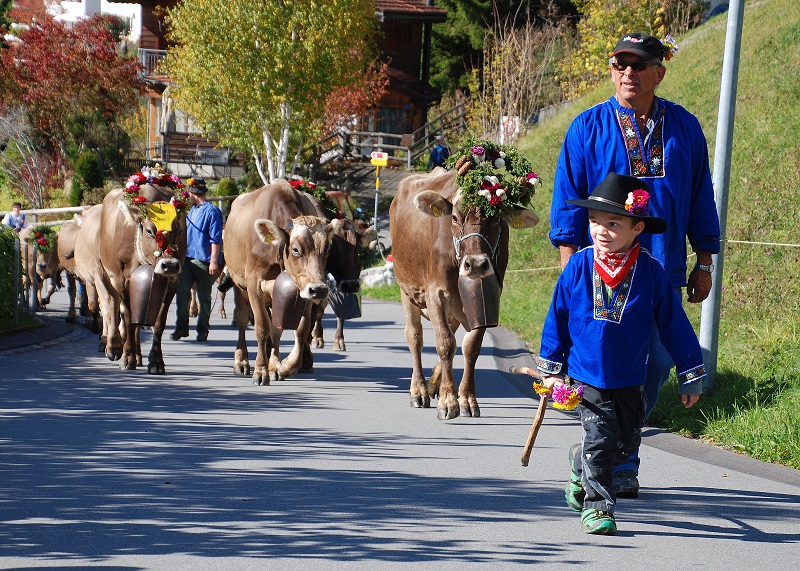 Seewis im Prattigau Alpabgang (10)