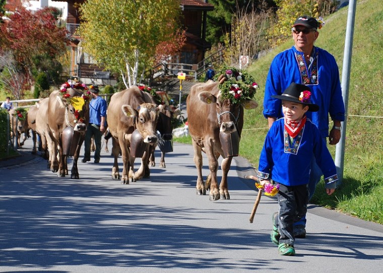 Seewis im Prattigau Alpabgang (10)