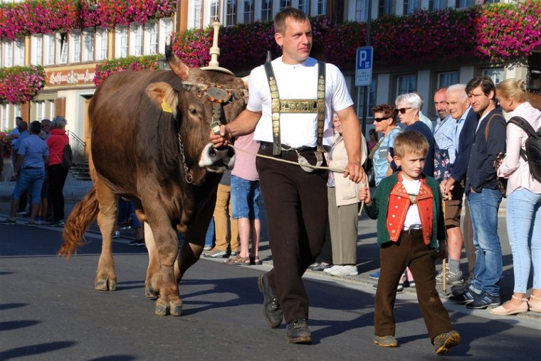 Farmer will bull in Appenzell