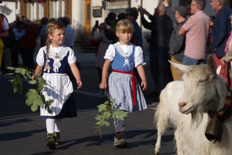 Goat Girls in Appenzell